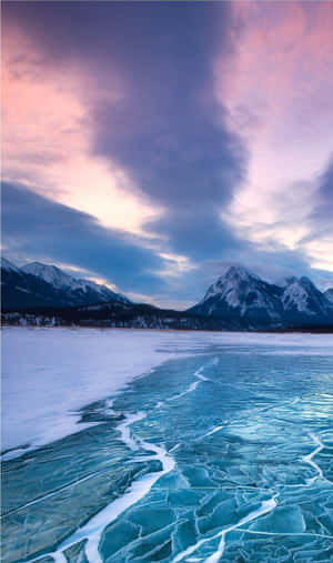 Æstetisk Natur Tumblr — Infinix Xpad Wallpapers