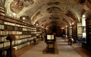 Biblioteksbaggrund — Mørk akademi Wallpapers