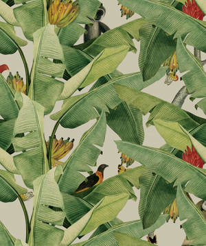 Bananblad jungle kunst tapet. — Apple Watch Wallpapers
