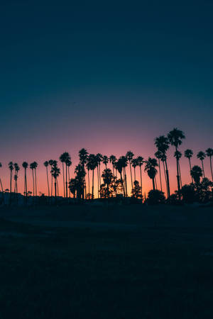 Solnedgang iPad Mini — iPad Mini Wallpapers