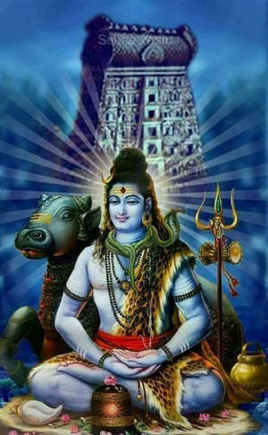 Bholenath HD Shiva Lotus Stilling Nandi Tyr — Galaxy Tab Active Wallpapers