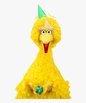 Big Bird tillykke med fødselsdagen tapet — Motorola Razr Ultra 2025 Wallpapers