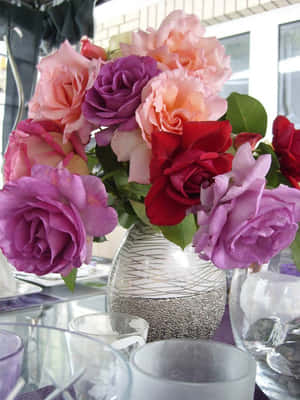 Rose billeder — Rose Blomst Wallpapers