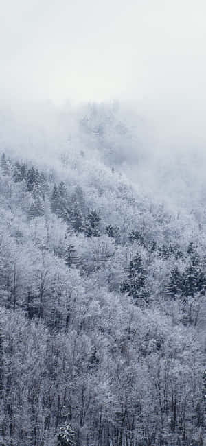 Snow Iphone — iPhone 18 Pro Max Wallpapers
