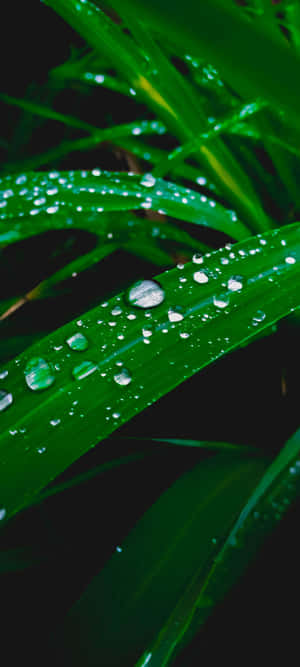 1080x2400 — Samsung galaxy s22 Wallpapers