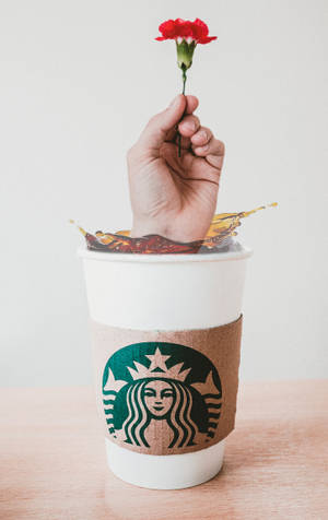 Hånd Starbucks iPhone — Xiaomi Pad Mini Wallpapers