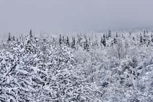 Anchorage Alaska billeder — Sne æstetik Wallpapers