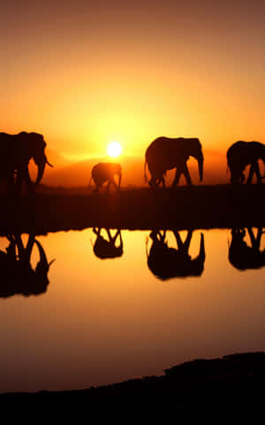 African Phone — Tecno Megapad 11 Wallpapers