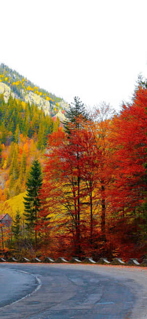 Iphone Xs Max Efterårsbaggrund — RedMagic Wallpapers