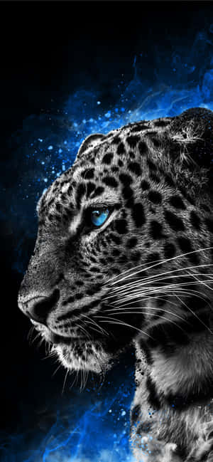 Animals Iphone — Redmi Note 15 Pro Wallpapers