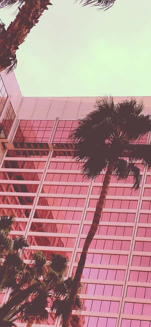 Æstetisk babyrosa — iPhone 11 Pro Wallpapers