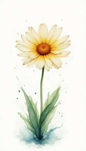 skønhed,blomster,blomst,friskhed,flora,naturlig,forår,frisk,nærbillede,almindelig,foto,plante — Forår Wallpapers