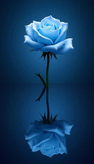 skønhed, blomster, blomst, friskhed, flora, naturlig, forår, frisk, nærbillede, enkel, foto, plante — Forår Wallpapers