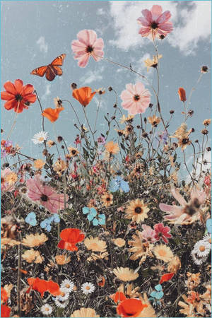 Boho æstetiske blomster og himlen