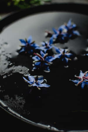 Borage blå blomster telefon — Huawei MatePad 11.5 (2026) Wallpapers