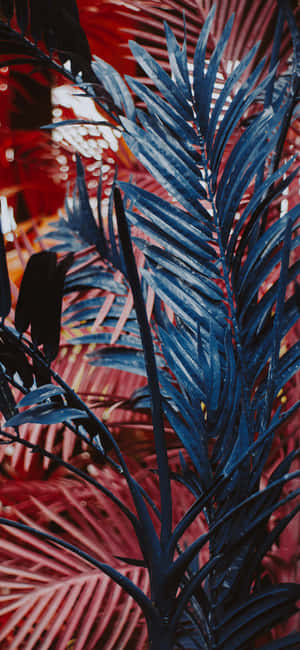 Planteæstetisk telefon — Redmi Note 17 Pro Max Wallpapers