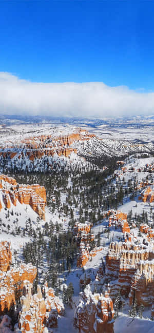 Bryce Canyon National Park Dyb Sne — Vivo X500 Wallpapers