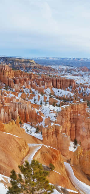 Bryce Canyon National Park Snebyge — Oppo Find X10 Wallpapers