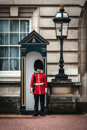 Buckingham Palace kongelige garde — Xiaomi Pad 8 Wallpapers