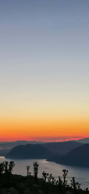 Iphone X Californien Baggrund — Samsung S21 Ultra Wallpapers