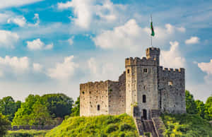 Cardiff Castle omgivet af træer