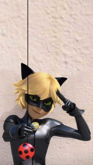 Billeder af Cat Noir — Cat Noir Wallpapers