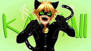 Cat Noir billeder