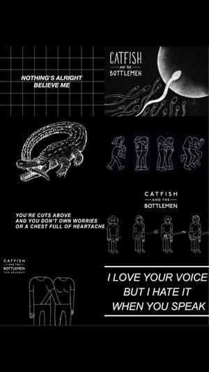 Catfish And The Bottlemen Alt Æstetik — Alternativ æstetik Wallpapers