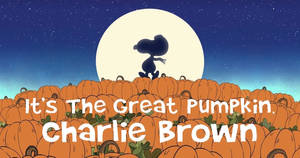Charlie Brown Halloween Græskar tapet