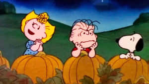 Charlie Brown Halloween billeder