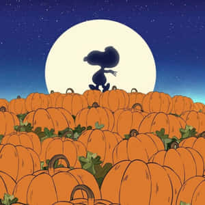Charlie Brown Halloween billeder