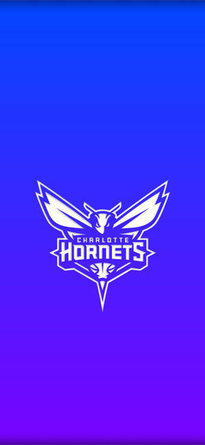 Charlotte Hornets Gradient Blå tapet — iPhone 17 Wallpapers