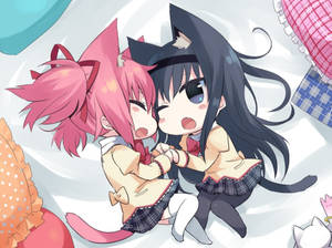 Chibi kat anime lesbiske tapet — Anime lesbisk Wallpapers
