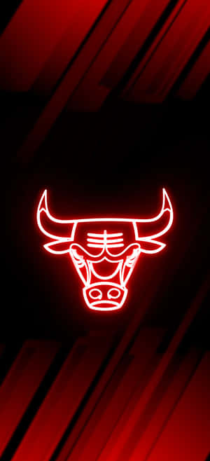 Chicago Bulls Phone — Pixel 9 Wallpapers