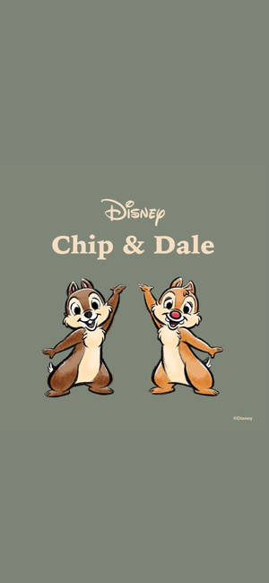 Chip N Dale på grå baggrund tapet — iPhone 12 Wallpapers