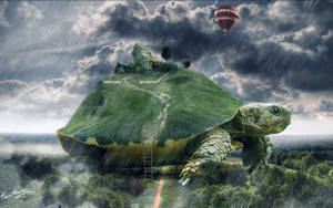 Cool skildpadde grafisk kunst wallpaper — Cool skildpadde Wallpapers
