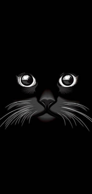 Cool sort kat — Samsung S23 Wallpapers
