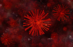 Wallpaper med coronavirus-model som fyrværkeri i røde flager — Lav kontrast Wallpapers