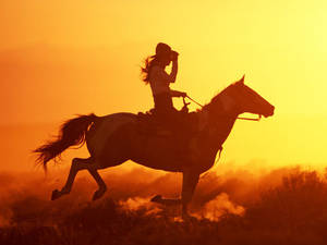 Country Western ridning mod solnedgang — Hest Wallpapers