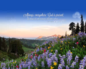 Crosscards Computer — Æstetisk bibelvers Wallpapers
