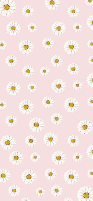 Pink æstetisk baggrund — Infinix Note 50x Wallpapers
