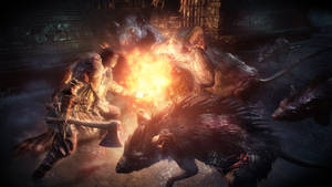 Dark Souls III Kæmperotter