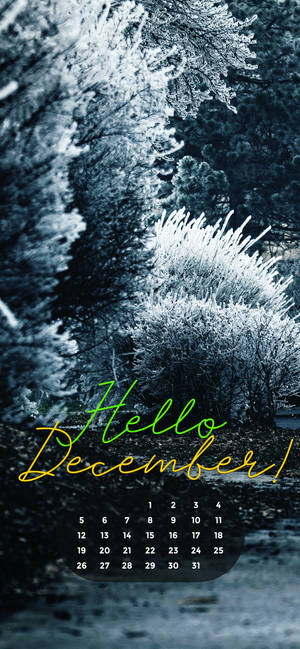 December 2021 Hvid Jul baggrund — iPhone 17 Wallpapers