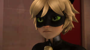 Cat Noir billeder — Cat Noir Wallpapers