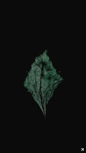 Den slanke og stilfulde Dark Phone, designet med dit privatliv for øje. — Mørk telefon Wallpapers