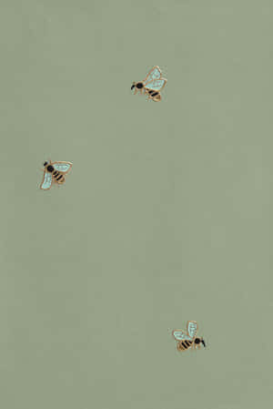 Salviegrøn æstetik billeder — Grøn æstetik Wallpapers