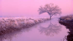 Desktop Æstetik — Pink æstetisk GIF Wallpapers