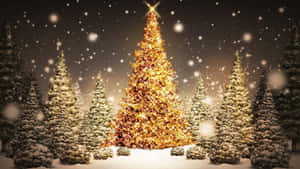 Juletræ Baggrund — Sød jul Wallpapers