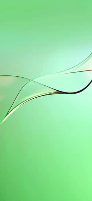 Iphone 11 Grøn — iPhone 14 Plus Wallpapers