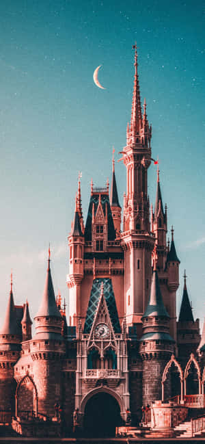 Disney World iPhone — Vivo V80 Lite Wallpapers